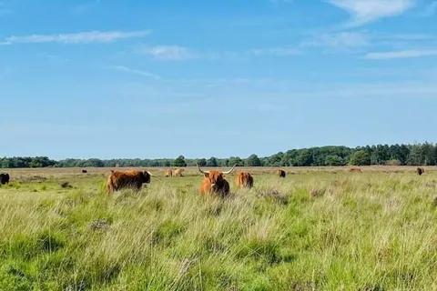 Grenzeloos Slapen-Eten-Beleven foto 32