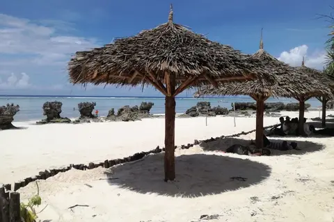 Sunshine Marine Lodge in Matemwe Beach Village — foto 28