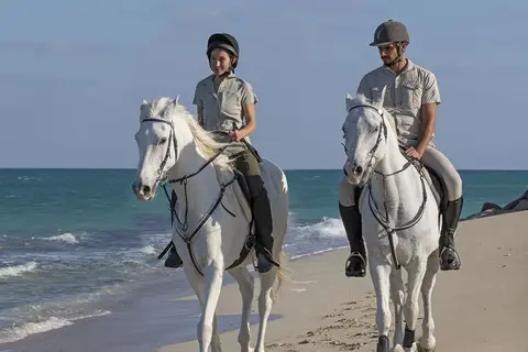 Desert Islands Resort & Spa by Anantara in صير بني ياس — foto 13