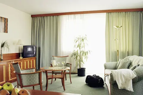 Hotel Palace Hévíz in Sármellék — foto 2