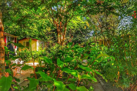 International Glamping Lago Di Bracciano foto 28