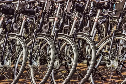 Camping De Nollen foto 10