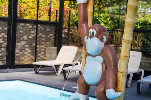 Vakantiepark De Rimboe en De Woeste Hoogte foto 41