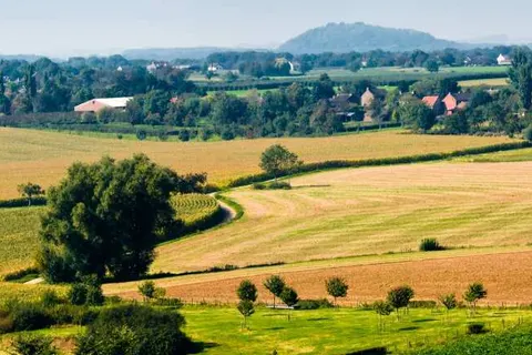 Bungalowpark Landsrade foto 18