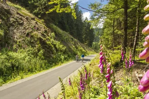 Appartementen Alte Schule Züschen foto 10