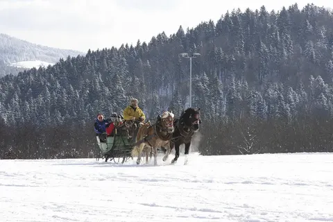 Kerst en Oud en Nieuw in Karinthië, Gmünd foto 29