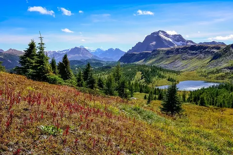 Ontdek West-Canada foto 10