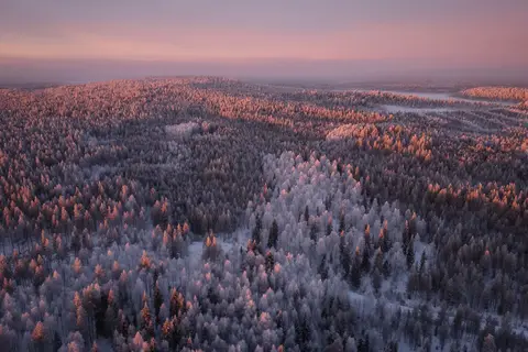Vaattunki Wilderness Resort in Rovaniemi, foto 8