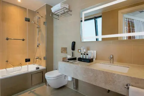 Windsor Hotel & Convention Center Istanbul in Fatih — foto 9