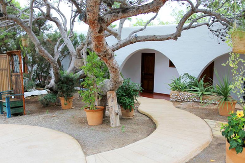 La Torre Ibiza foto 3