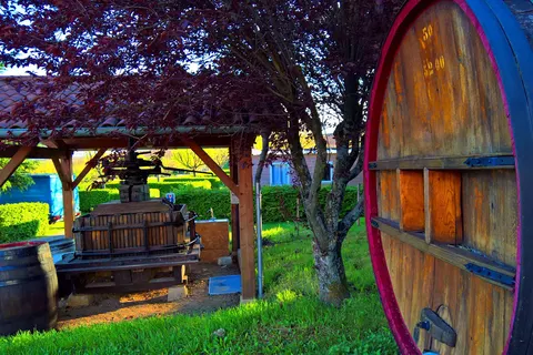 Camping La Grappe Fleurie foto 4