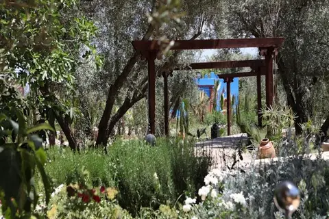 Riad Cle de Sol in Boumerieme بومريم — foto 26