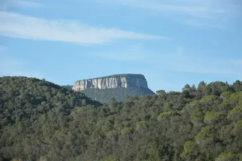 Glamping Can Bora in Sant Gregori — foto 23