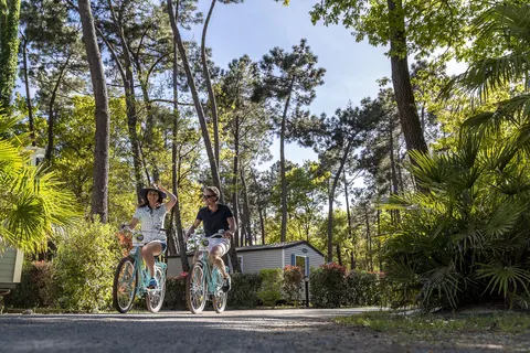 Camping L Oree Du Bois foto 19