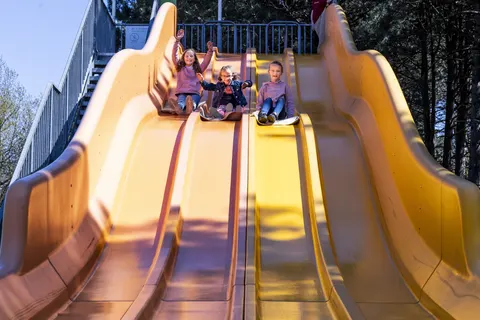 Camping De Bergen foto 18