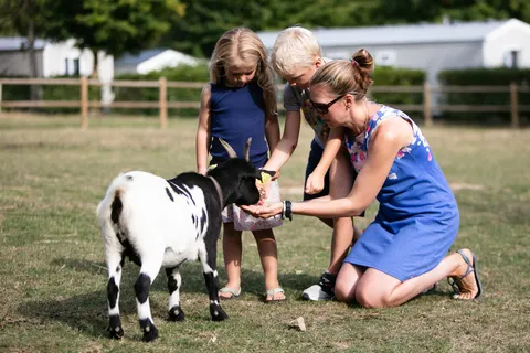 Camping Chateau De Lez-eaux foto 5