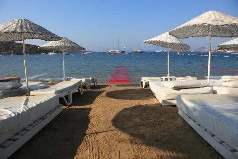 Okaliptus in Bodrum, foto 4