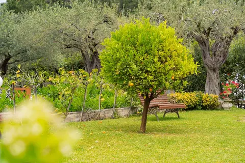 Appartementen Residence Villa Collina in Giardini Naxos — foto 7