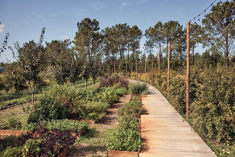 Craveiral Farmhouse foto 23