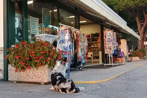 Camping Village Miramare foto 21