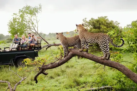 Ontdek het Noorden van Zuid-Afrika incl. Kruger in Noorderlijk Zuid-Afrika, Krugerpark, Panoramaroute — foto 2