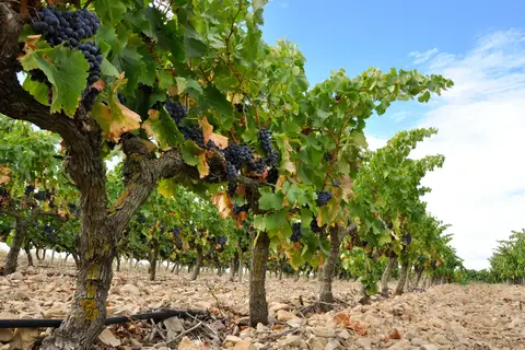 Grand Tour Noord Spanje in Hernani — foto 11