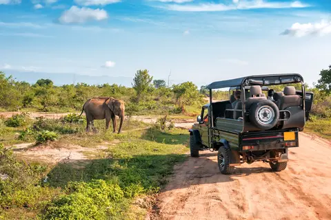Ontdek Tanzania in Tanzania — foto 5