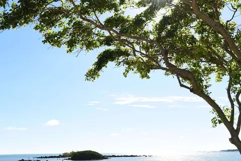 Radisson Blu Azuri Resort & Spa in Roches Noires VCA, North — foto 11