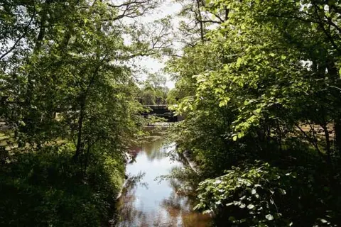 De Watermölle foto 14