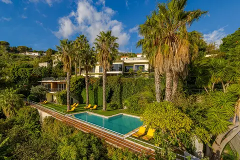 Casa do Papagaio Verde in Funchal — foto 8