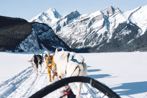 Winterbelevenis Canada op het gemak in Ottawa, foto 15