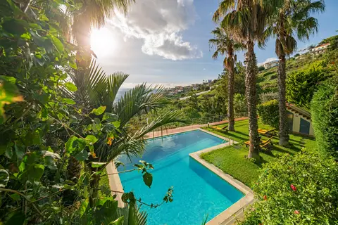Casa do Papagaio Verde in Funchal — foto 2