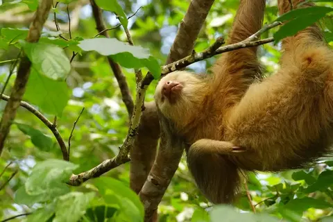 Discover Unique Costa Rica foto 6