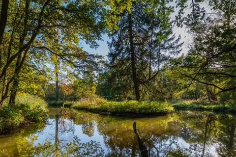 Hotel Rosveld foto 29