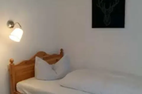 Landgasthof Grüner Baum foto 11