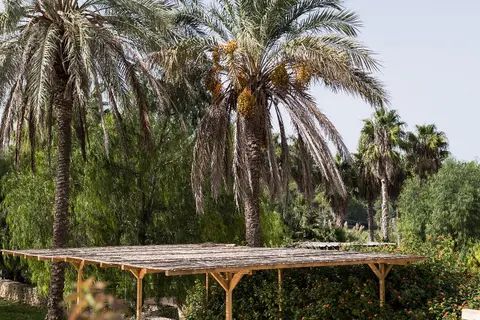 Llucatx Menorca in Het Mercadal — foto 17