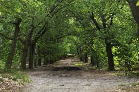 Fiets- of autovakantie Overijssel (Twente-Salland) foto 13