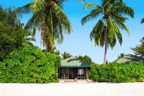 Canareef Resort Maldives in ހިތަދޫ — foto 12