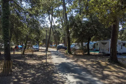 Flower Camping Monplaisir foto 21