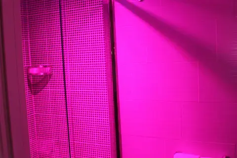 Palco Rooms & Suites in Palermo, foto 14