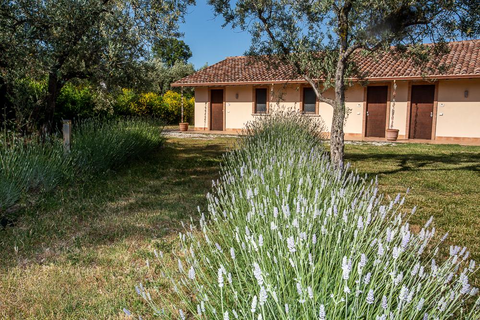 Il Bagolaro in Nerola — foto 12