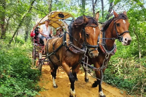 Camping Les Chênes Blancs foto 22