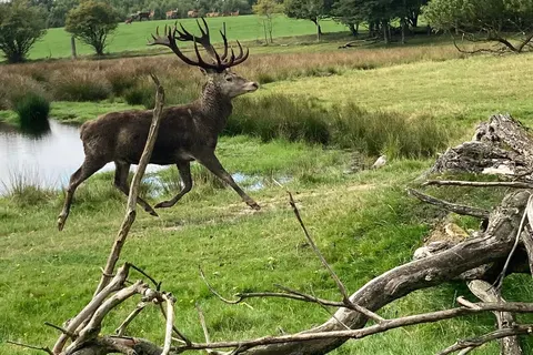 Camping Himmerland in Aars — foto 8