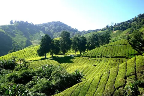 Perfect Match Singapore & Malaysia in Singapore — foto 4