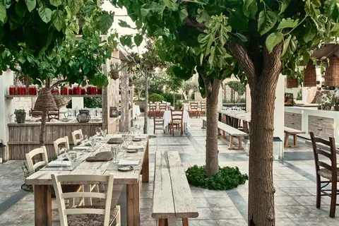Phãea Cretan Malia in Δημοτική Ενότητα Μαλίων — foto 6