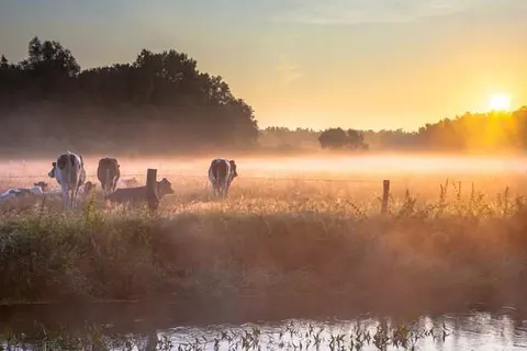 Hotel Het Landhuis foto 16