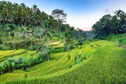 Rondreis Veelzijdig Java & Bali foto 1