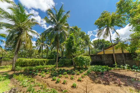 Siddhalepa Ayurveda in Wadduwa, foto 7