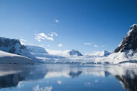 A taste of Antarctica foto 2