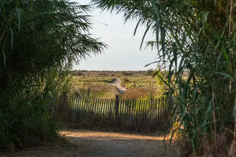 Camping Les Sablines in Vendres — foto 27